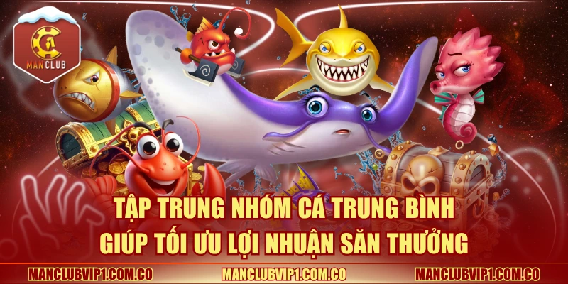 Tập trung nhóm cá trung bình giúp tối ưu lợi nhuận săn thưởng